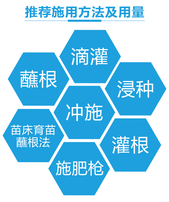 瀵垮厜甯?jìng)鐢熸佽偉鏂欑鎶涓績(jī)-楸煎ご閽?鍌婚奔_03.jpg 瀵垮厜甯?jìng)鐢熸佽偉鏂欑鎶涓績(jī)-楸煎ご閽?鍌婚奔_03.jpg