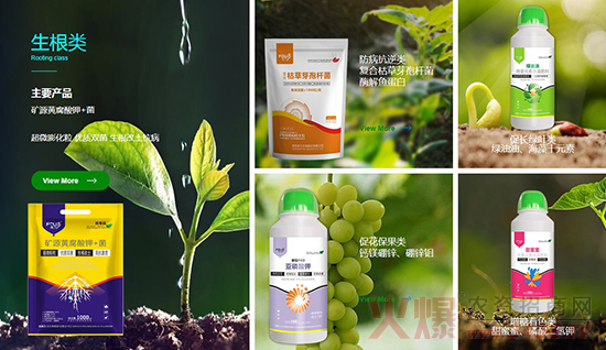 濮陽芙力生物科技有限公司 濮陽芙力生物科技有限公司