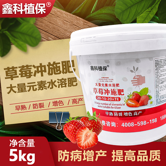 草莓冲施?0-10-20+TE-鑫科植保.jpg