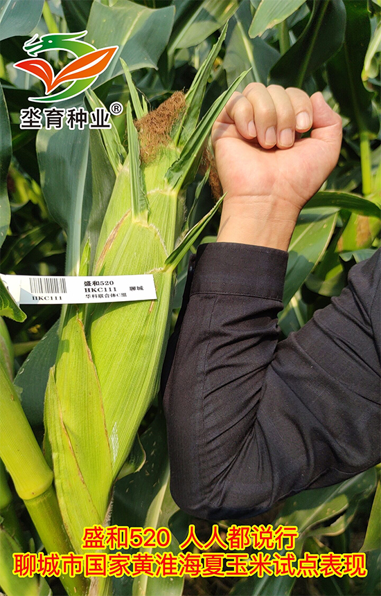 鏈爣棰?1.jpg 鏈爣棰?1.jpg