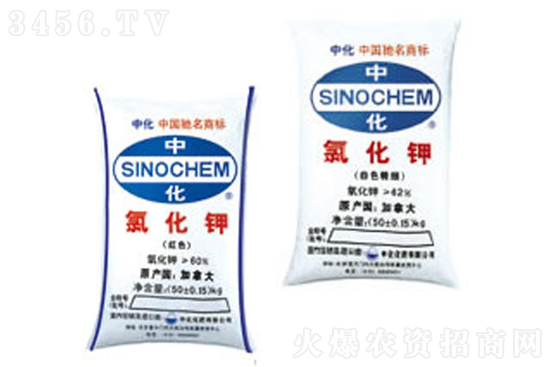 鏂伴椈姘村嵃鏈鏂頒簩緇寸爜.jpg 鏂伴椈姘村嵃鏈鏂頒簩緇寸爜.jpg