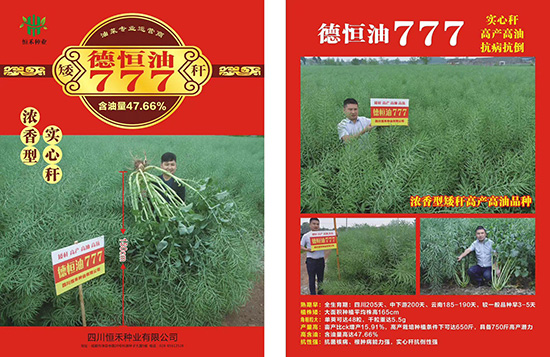 娌硅彍縐嶅瓙-寰鋒亽娌?77-鎭掔縐嶄笟2.jpg 娌硅彍縐嶅瓙-寰鋒亽娌?77-鎭掔縐嶄笟2.jpg