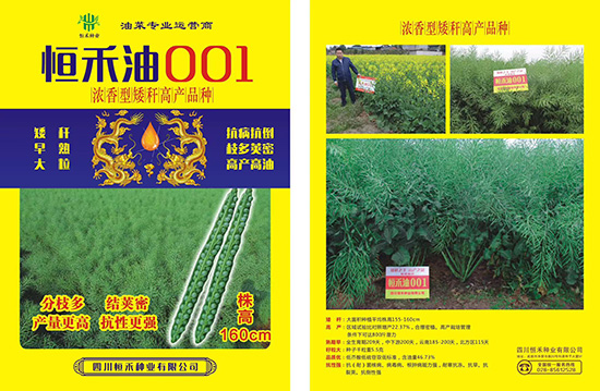 娌硅彍縐嶅瓙-鎭掔娌?01-鎭掔縐嶄笟2.jpg 娌硅彍縐嶅瓙-鎭掔娌?01-鎭掔縐嶄笟2.jpg