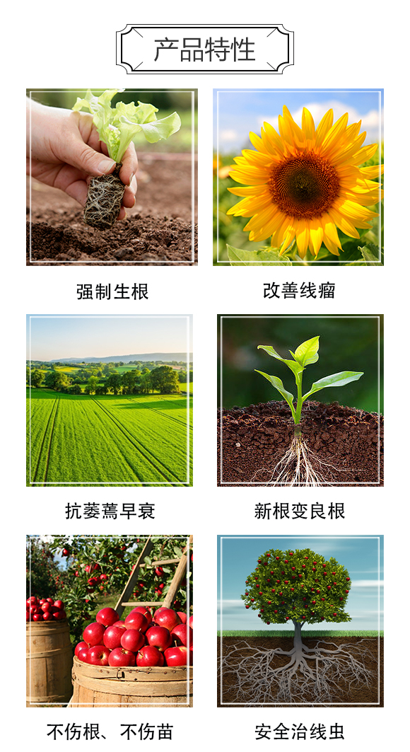 涔愰櫟甯傚啘鍗氬+澶嶆販鑲ユ湁闄愬叕鍙竉03.jpg 涔愰櫟甯傚啘鍗氬+澶嶆販鑲ユ湁闄愬叕鍙竉03.jpg