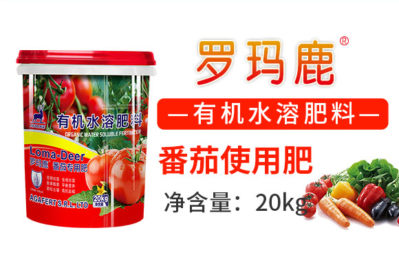 緗楃帥楣跨暘鑼勪笓鐢ㄨ偉-嫻烽哺_02.jpg 緗楃帥楣跨暘鑼勪笓鐢ㄨ偉-嫻烽哺_02.jpg