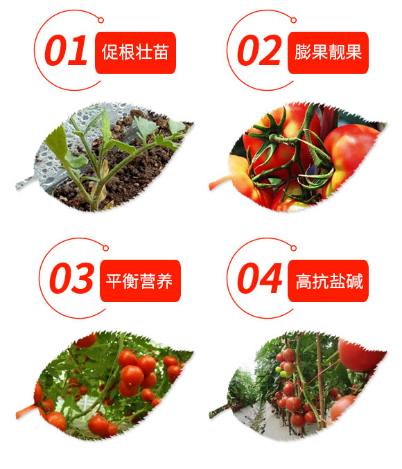 緗楃帥楣跨暘鑼勪笓鐢ㄨ偉-嫻烽哺_03.jpg 緗楃帥楣跨暘鑼勪笓鐢ㄨ偉-嫻烽哺_03.jpg