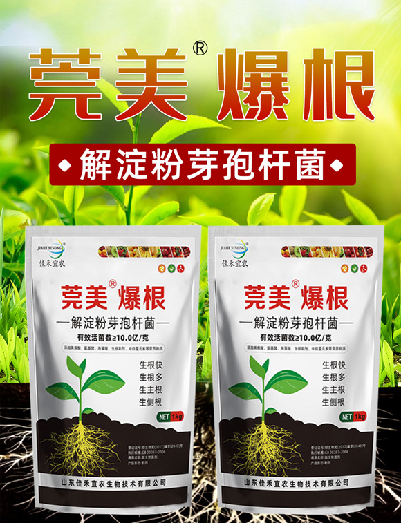 鑾炵編路鐖嗘牴-浣崇瀹滃啘_01.jpg 鑾炵編路鐖嗘牴-浣崇瀹滃啘_01.jpg