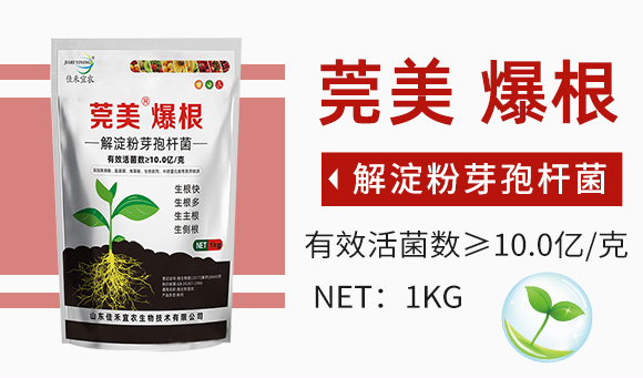 鑾炵編路鐖嗘牴-浣崇瀹滃啘_03.jpg 鑾炵編路鐖嗘牴-浣崇瀹滃啘_03.jpg