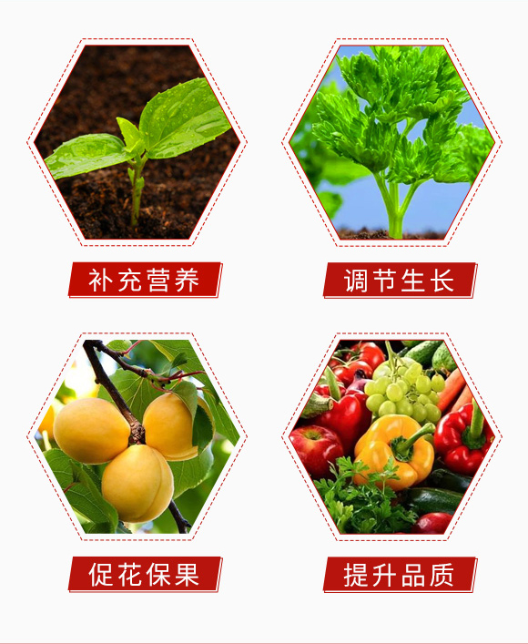 谷昔之-中藍(lán)農(nóng)業(yè)_05.jpg 谷昔之-中藍(lán)農(nóng)業(yè)_05.jpg