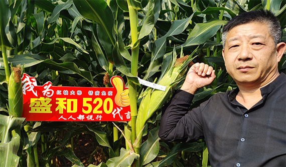 寰俊鍥劇墖_20241113141727.png 寰俊鍥劇墖_20241113141727.png