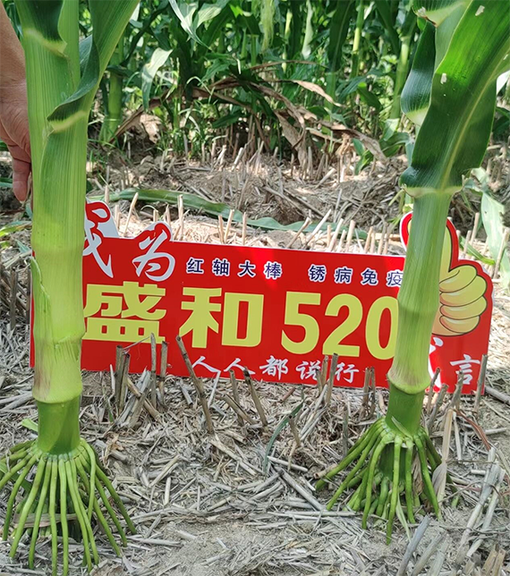 寰俊鍥劇墖_20241113141734.png 寰俊鍥劇墖_20241113141734.png