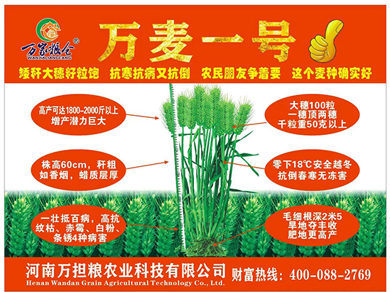 寰俊鍥劇墖_20241224113630.jpg 寰俊鍥劇墖_20241224113630.jpg