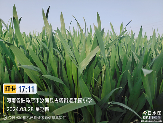 寰俊鍥劇墖_20241224113635.jpg 寰俊鍥劇墖_20241224113635.jpg