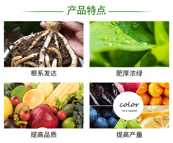 鍥劇墖1.png 鍥劇墖1.png