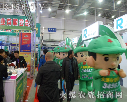 2013|ʡϕϵr(nng)YW(wng)o