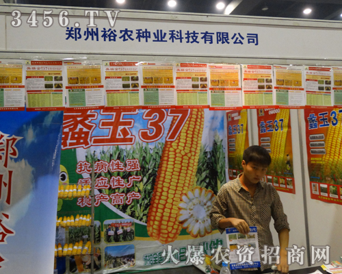 ԣr(nng)㹲2013ϷNӕ(hu)