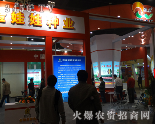 金娃娃種業(yè)在鄭州種子會做宣傳