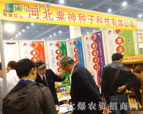 河北粟神種子在2013鄭州種子會(huì)上孜孜不倦
