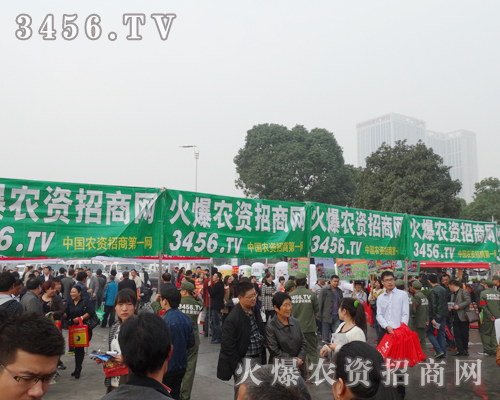 2013Ϸ׏(f)ʕһɐ۵L(fng)