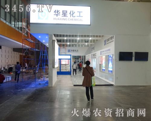 2013植保會安徽華星化工展位前人山人海