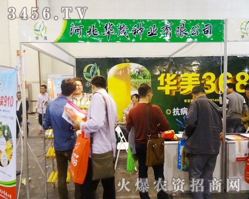 河北華茂種業(yè)把好產(chǎn)品帶向千家萬(wàn)戶