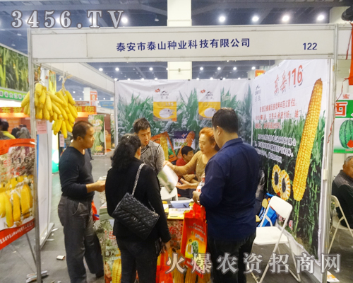 泰安市泰山種業(yè)2014鄭州秋季種子會叱咤風(fēng)云