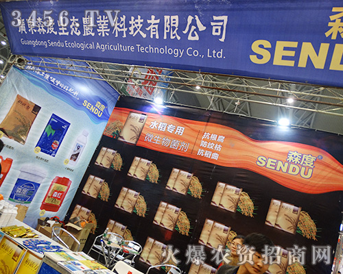 2015ֲV|ɭB(ti)rI(y)ȭ