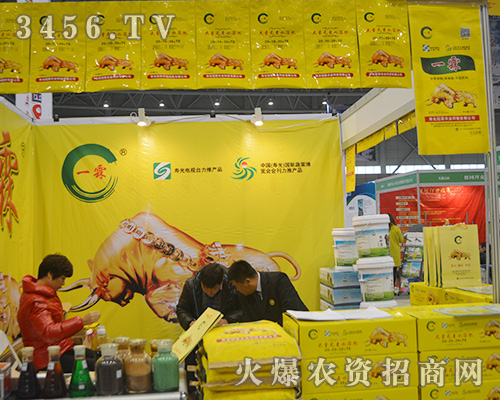 2015ֲһؿƼ|(zh)(wn)һ