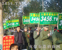 L(fng)˝(j)溣ieL(zhng)씈