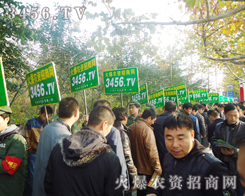 Gɫ܊bV͑P(gun)עĿݰ