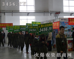 2013LNӕ(hu)r(nng)Y̾W(wng)Ӹ߸e