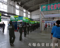 r(nng)Y̾W(wng)2013|ϕ^һ(g)չʾęC(j)