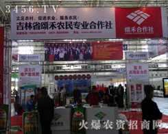 s2013L(zhng)r(nng)(hu)Ҋ(jin)ힺr(nng)