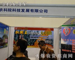 (yng)r(nng)Ժß＾Nӕ(hu)