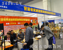 CʡƷNI(y)ںϷNӕ(hu)