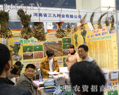 ŷNI(y)̤M(jn)2013＾Nӕ(hu)