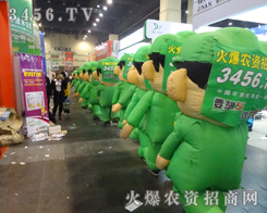 ģުqһƬGɫL(fng)ʬF(xin)ҡǰ