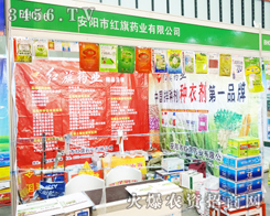 (yng)мtˎI(y)ڵ29ֲ(hu)㡱M