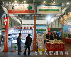 2013ֲ(hu)ϣ(j)ϼsr(nng)չλ