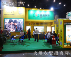 KxSr(nng)ɷݽo(jng)N̎(li)˟o(w)̙C(j)