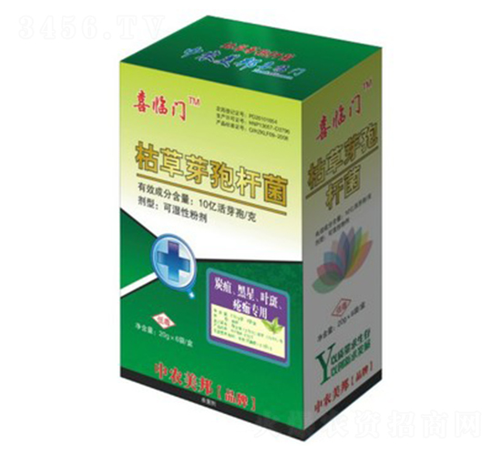 ݲѿߗU̿~ߣ-ϲRT-r(nng)