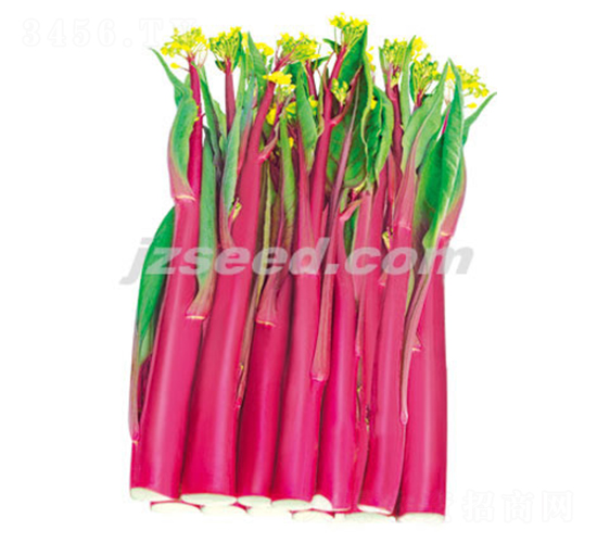 ʮ̖(ho)-޷N-F(xin)NI(y)