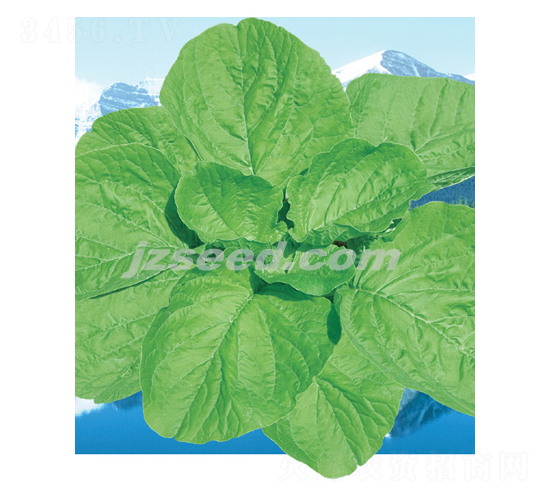 ̩(gu)S{-{˷N-F(xin)NI(y)