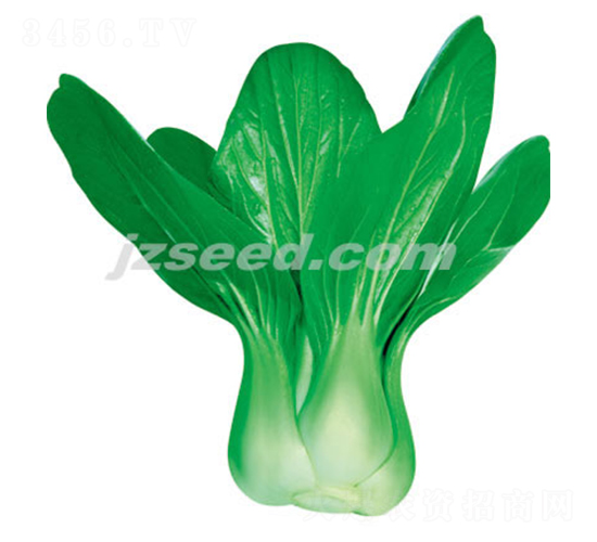 ڶ̖(ho)-Сײ˷N-F(xin)NI(y)