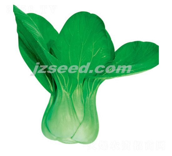 һ̖-Сײ˷N-F(xin)NI(y)