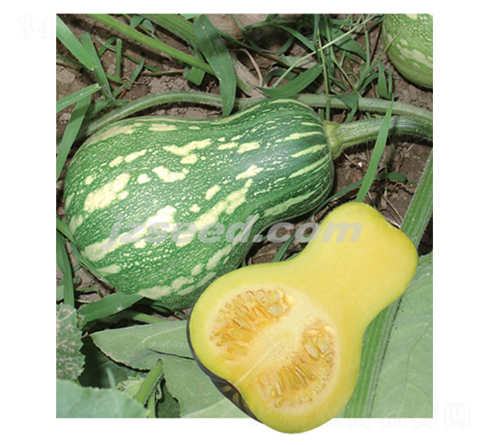 һ̖-ϹϷN-F(xin)NI(y)