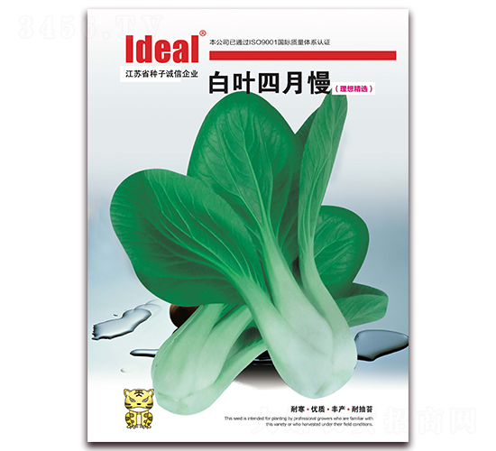白葉四月慢-小白菜種子-理想農(nóng)業(yè)