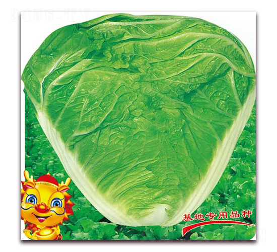 ذ¶̖(ho)-ײ˷N-o(j)