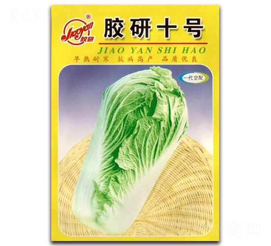 膠研十號-秋播白菜種子-膠研