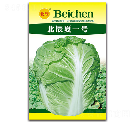 һ̖(ho)-ײ˷N-NI(y)